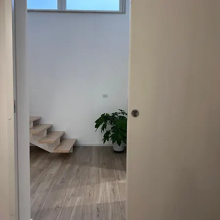 Maya House