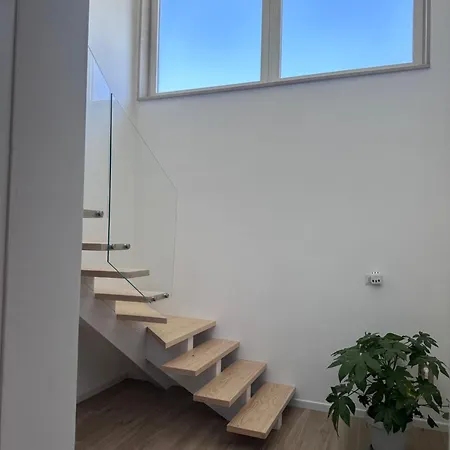 Maya House